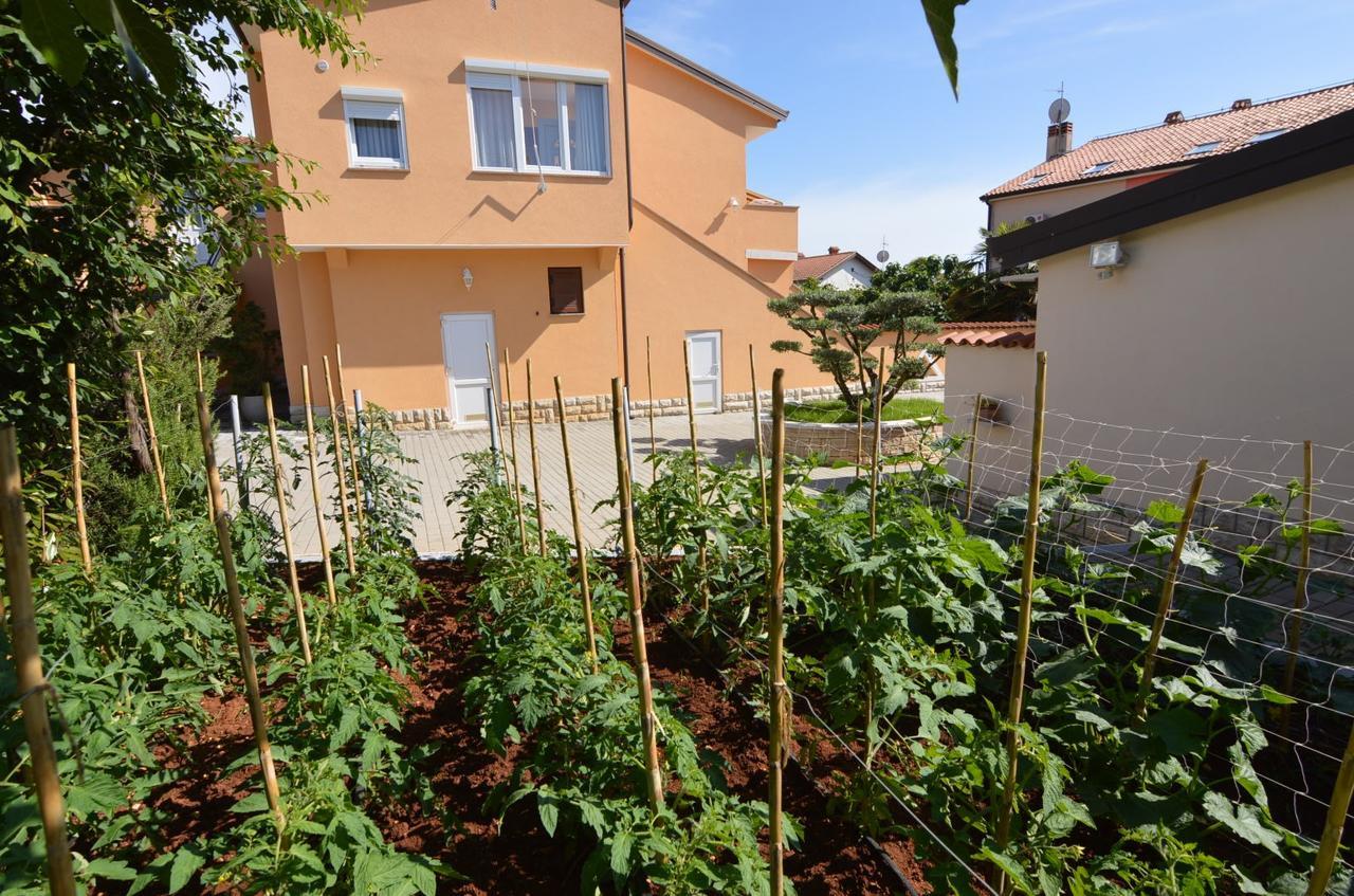Apartmani Dekovic Materada Πόρετς Εξωτερικό φωτογραφία